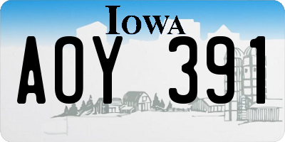 IA license plate AOY391