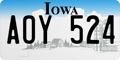 IA license plate AOY524