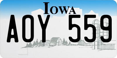 IA license plate AOY559