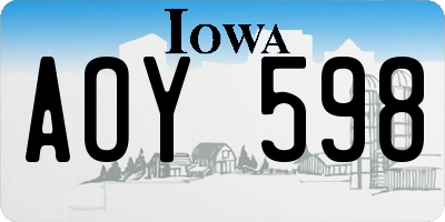 IA license plate AOY598