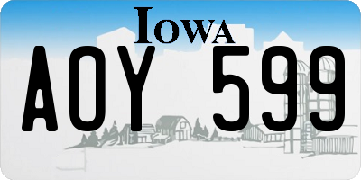 IA license plate AOY599