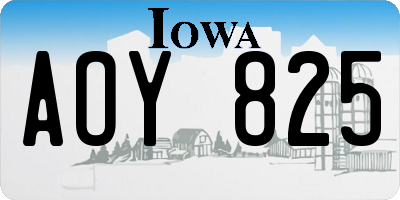 IA license plate AOY825