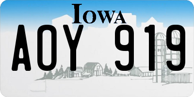 IA license plate AOY919