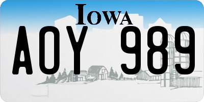 IA license plate AOY989