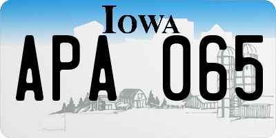 IA license plate APA065