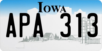 IA license plate APA313