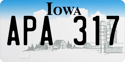 IA license plate APA317