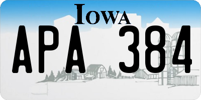IA license plate APA384