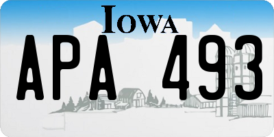 IA license plate APA493