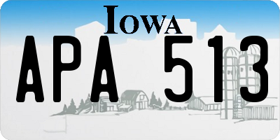 IA license plate APA513