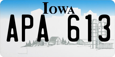 IA license plate APA613