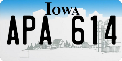 IA license plate APA614