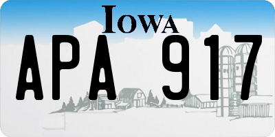 IA license plate APA917