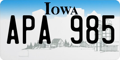 IA license plate APA985