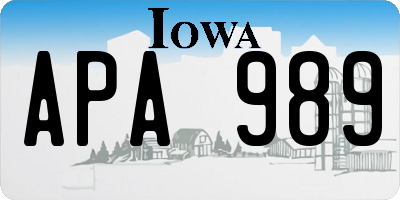 IA license plate APA989