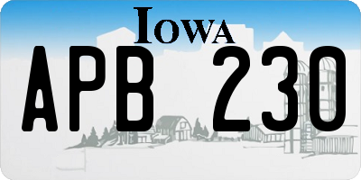 IA license plate APB230