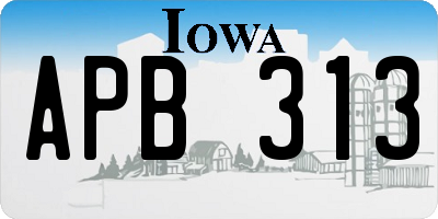 IA license plate APB313