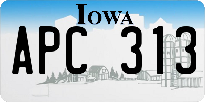 IA license plate APC313