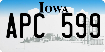 IA license plate APC599