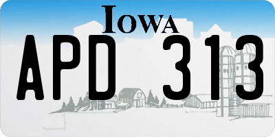 IA license plate APD313