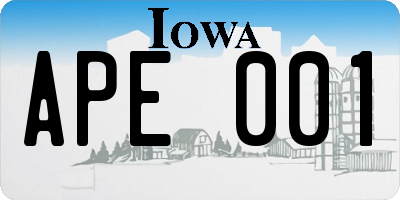 IA license plate APE001