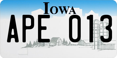 IA license plate APE013