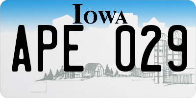 IA license plate APE029
