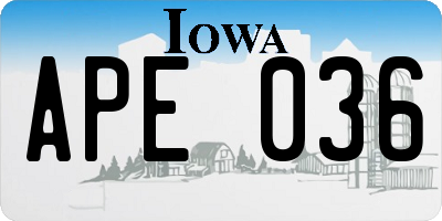 IA license plate APE036