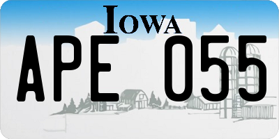 IA license plate APE055