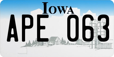 IA license plate APE063