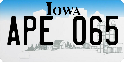 IA license plate APE065