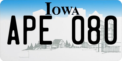 IA license plate APE080