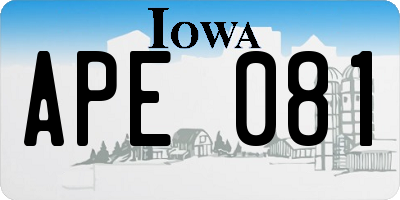 IA license plate APE081