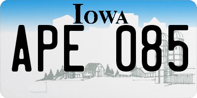 IA license plate APE085