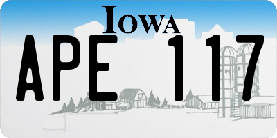 IA license plate APE117