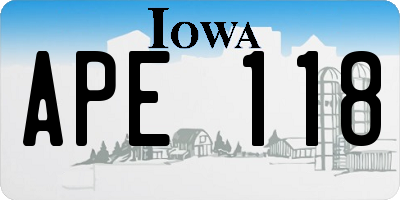 IA license plate APE118