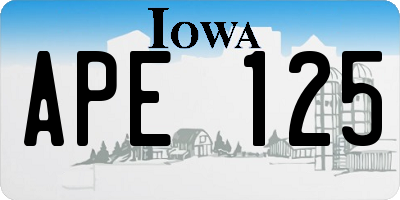 IA license plate APE125