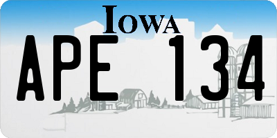 IA license plate APE134