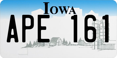 IA license plate APE161