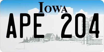 IA license plate APE204