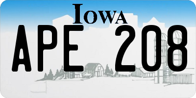 IA license plate APE208
