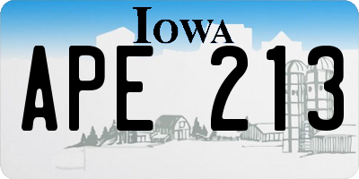 IA license plate APE213