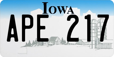 IA license plate APE217
