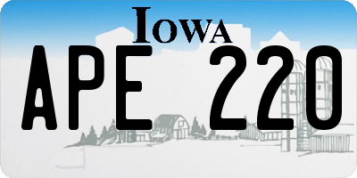 IA license plate APE220