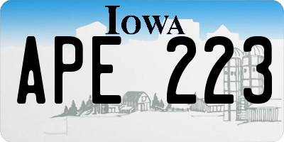 IA license plate APE223