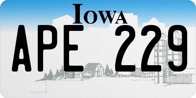 IA license plate APE229