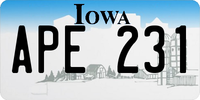IA license plate APE231
