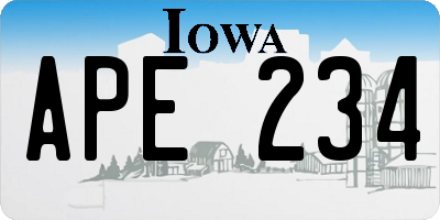 IA license plate APE234