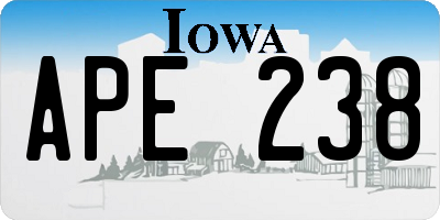 IA license plate APE238