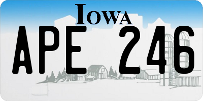 IA license plate APE246